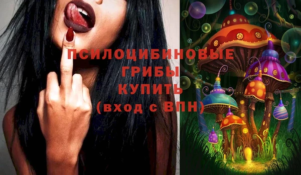 меф Ельня