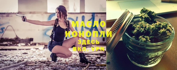 меф Ельня