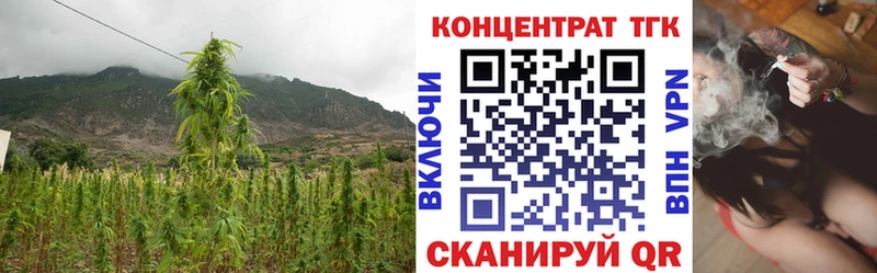 Купить где Мглин Дистиллят ТГК THC oil