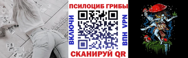 Псилоцибиновые грибы мухоморы  Купить закладки  Мглин 